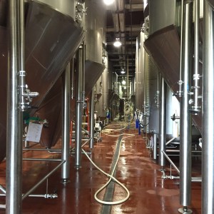brewery tour